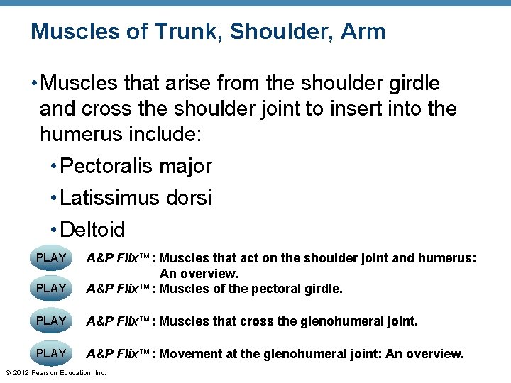 Muscles of Trunk, Shoulder, Arm • Muscles that arise from the shoulder girdle and
