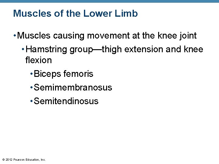 Muscles of the Lower Limb • Muscles causing movement at the knee joint •