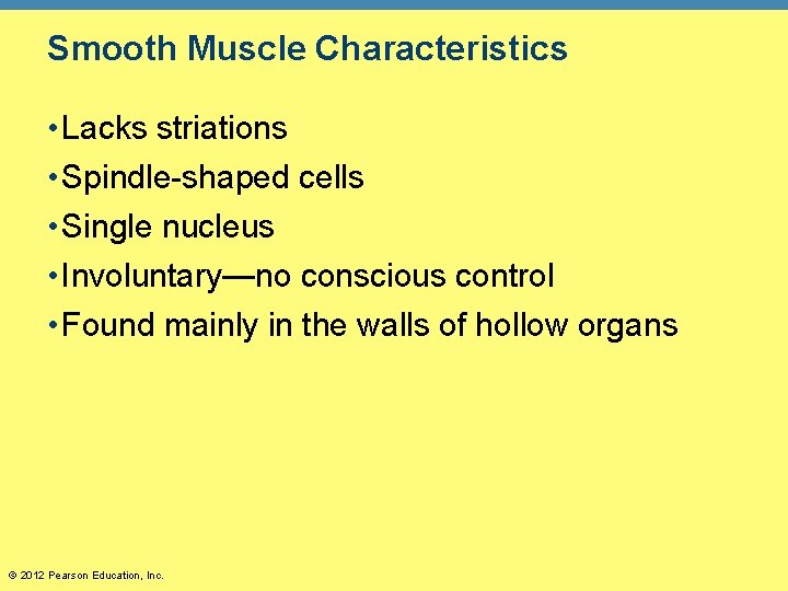 Smooth Muscle Characteristics • Lacks striations • Spindle-shaped cells • Single nucleus • Involuntary—no