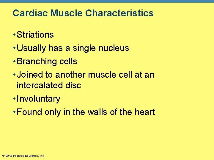 Cardiac Muscle Characteristics • Striations • Usually has a single nucleus • Branching cells