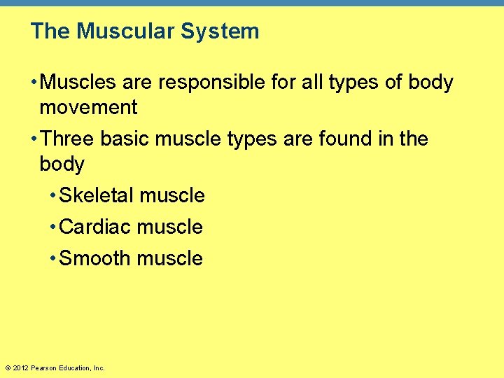 The Muscular System • Muscles are responsible for all types of body movement •