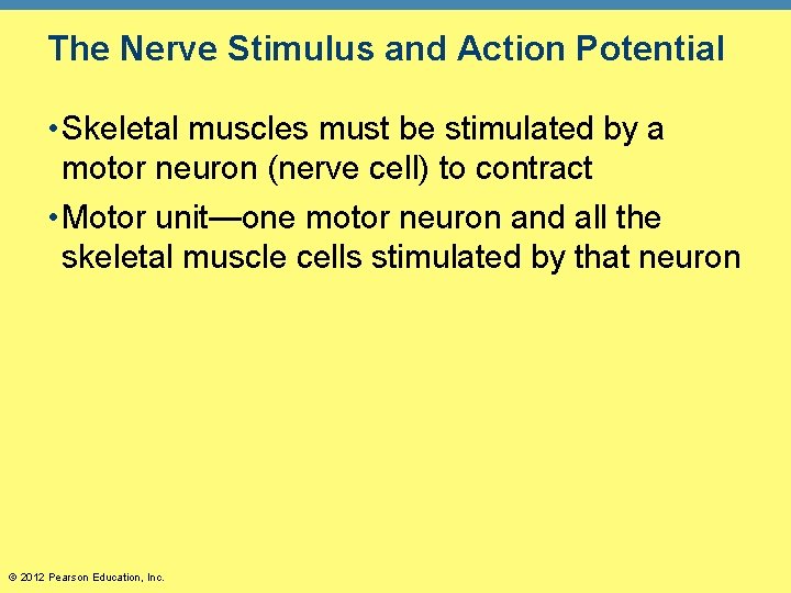 The Nerve Stimulus and Action Potential • Skeletal muscles must be stimulated by a