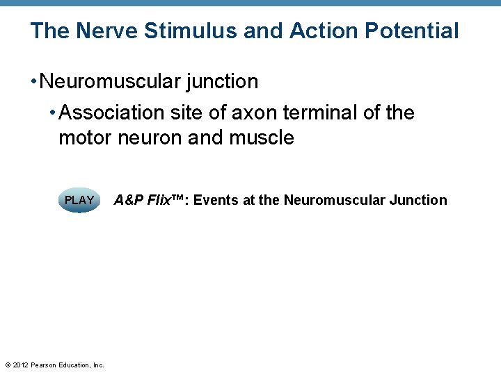 The Nerve Stimulus and Action Potential • Neuromuscular junction • Association site of axon