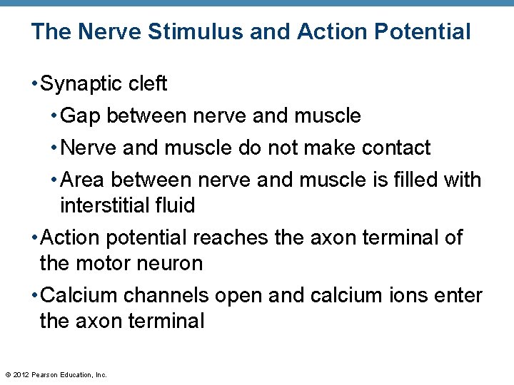 The Nerve Stimulus and Action Potential • Synaptic cleft • Gap between nerve and