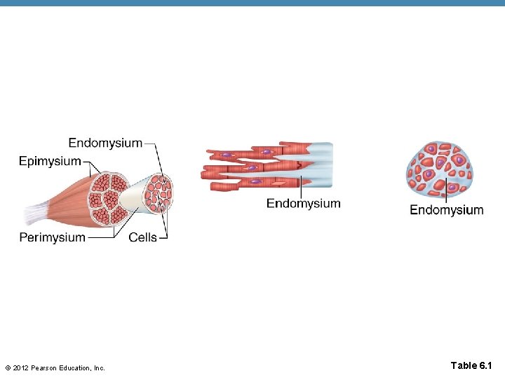 © 2012 Pearson Education, Inc. Table 6. 1 