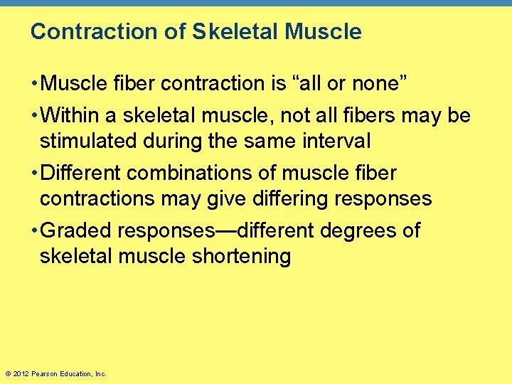 Contraction of Skeletal Muscle • Muscle fiber contraction is “all or none” • Within