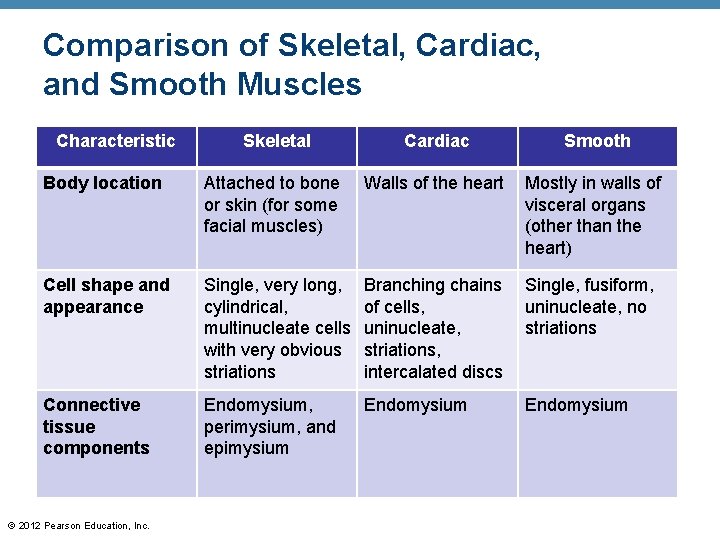 Comparison of Skeletal, Cardiac, and Smooth Muscles Characteristic Skeletal Cardiac Smooth Body location Attached