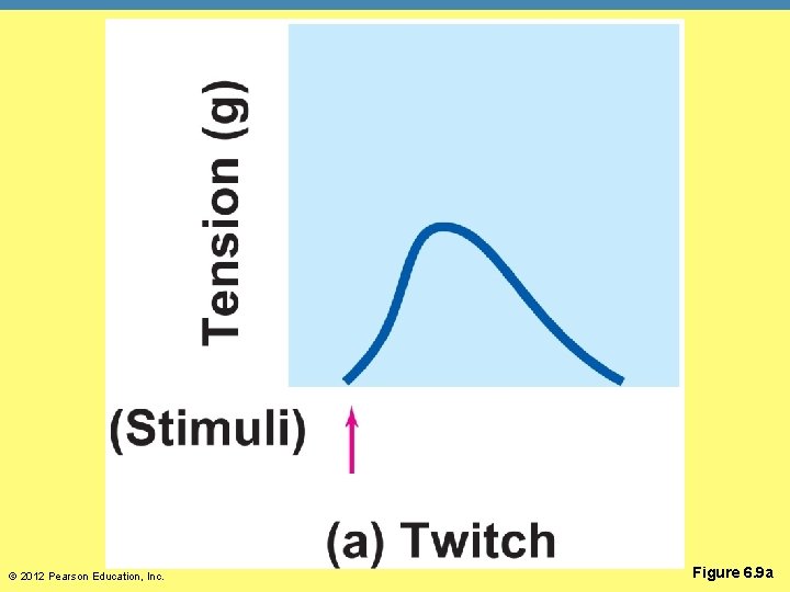 © 2012 Pearson Education, Inc. Figure 6. 9 a 