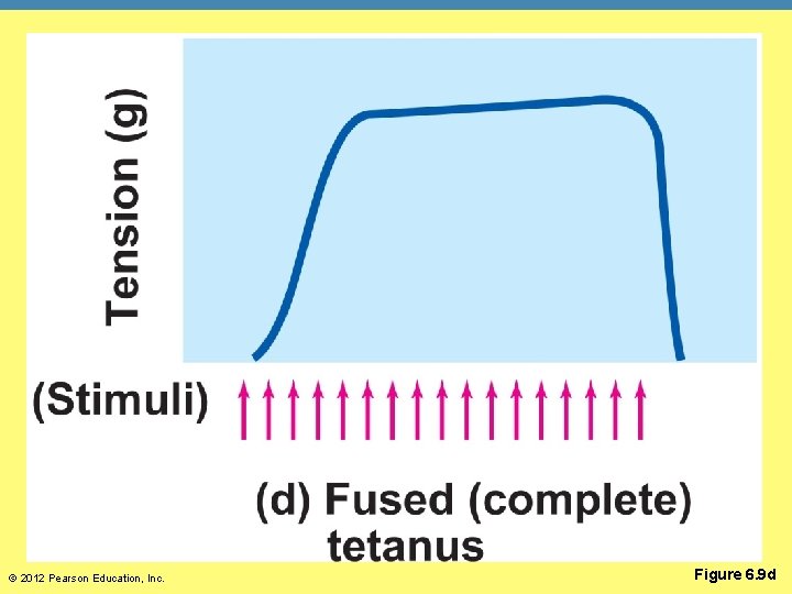 © 2012 Pearson Education, Inc. Figure 6. 9 d 