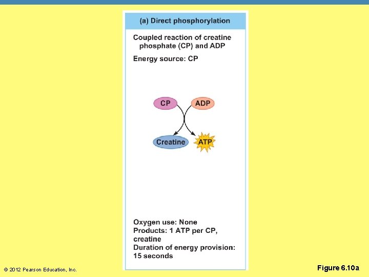 © 2012 Pearson Education, Inc. Figure 6. 10 a 