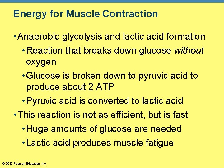 Energy for Muscle Contraction • Anaerobic glycolysis and lactic acid formation • Reaction that