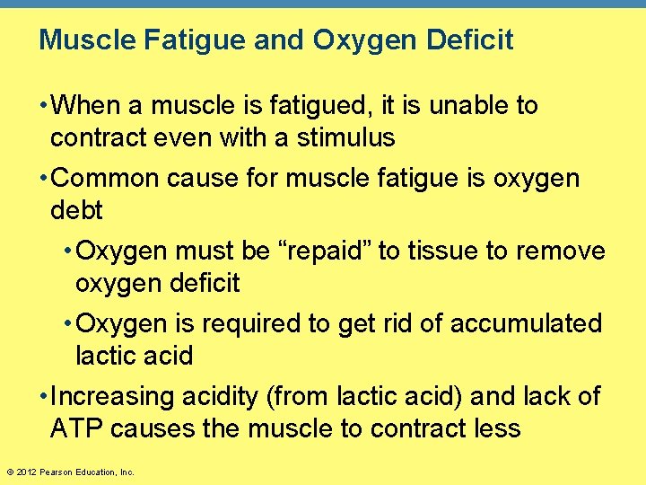 Muscle Fatigue and Oxygen Deficit • When a muscle is fatigued, it is unable