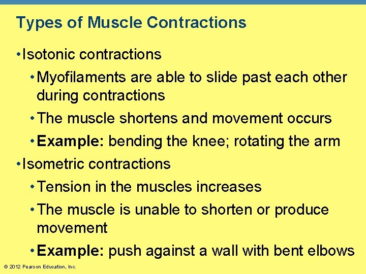 Types of Muscle Contractions • Isotonic contractions • Myofilaments are able to slide past