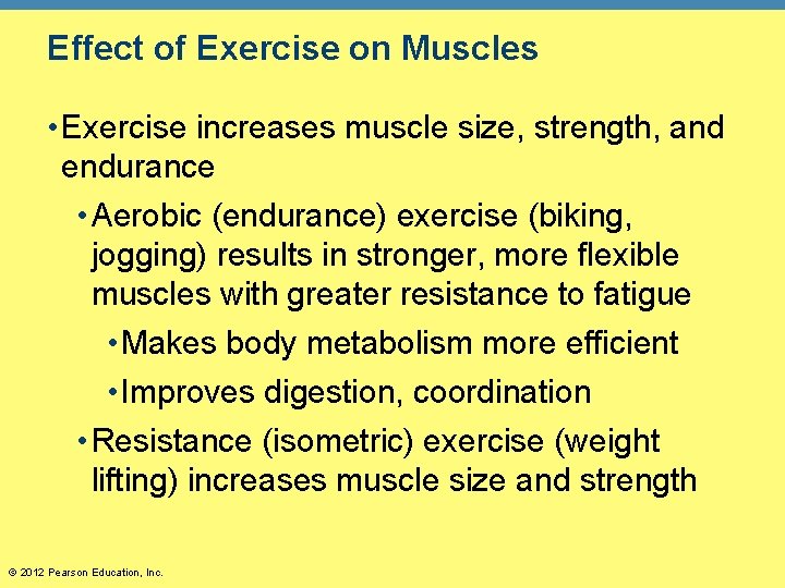 Effect of Exercise on Muscles • Exercise increases muscle size, strength, and endurance •