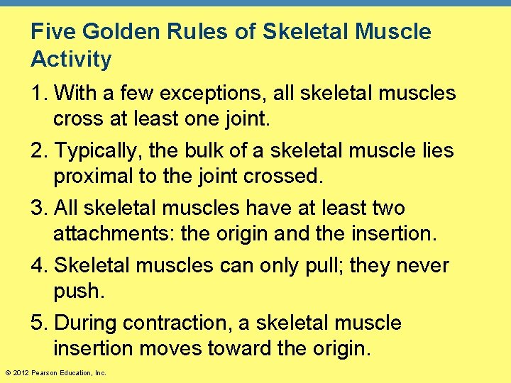 Five Golden Rules of Skeletal Muscle Activity 1. With a few exceptions, all skeletal