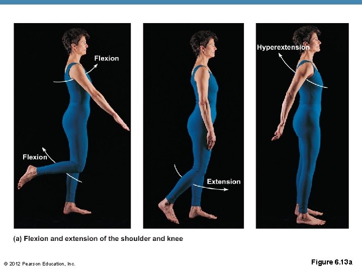 © 2012 Pearson Education, Inc. Figure 6. 13 a 