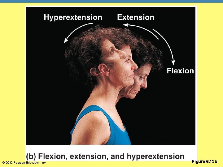 © 2012 Pearson Education, Inc. Figure 6. 13 b 