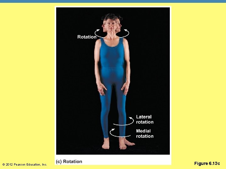 © 2012 Pearson Education, Inc. Figure 6. 13 c 