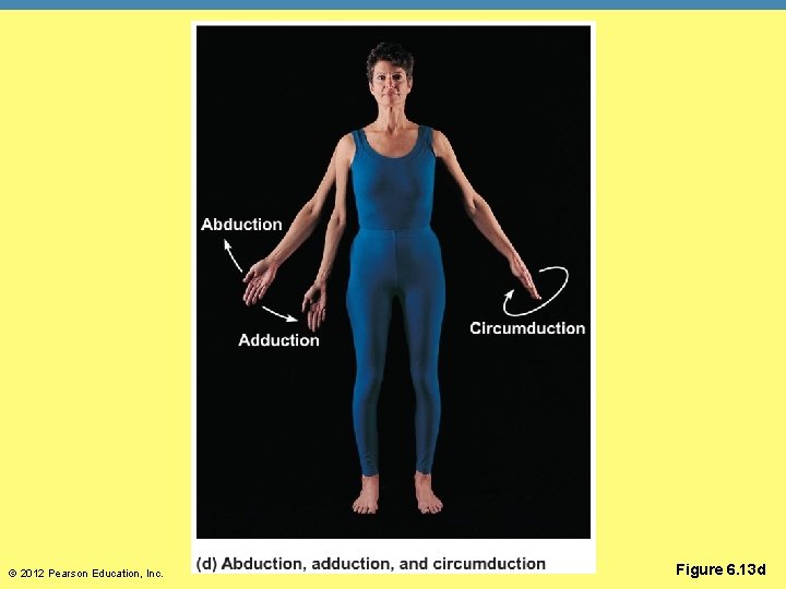 © 2012 Pearson Education, Inc. Figure 6. 13 d 