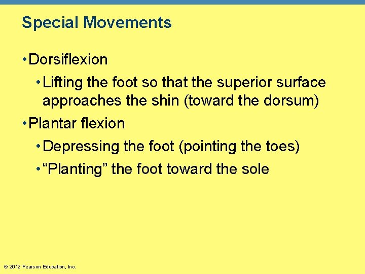 Special Movements • Dorsiflexion • Lifting the foot so that the superior surface approaches