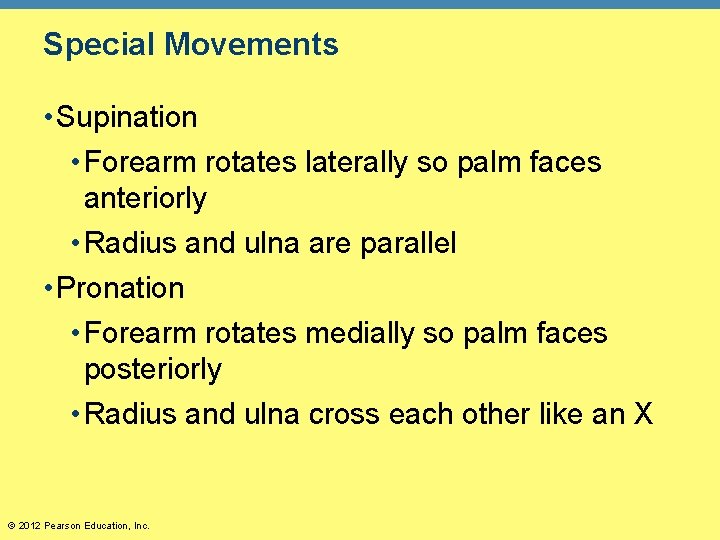 Special Movements • Supination • Forearm rotates laterally so palm faces anteriorly • Radius