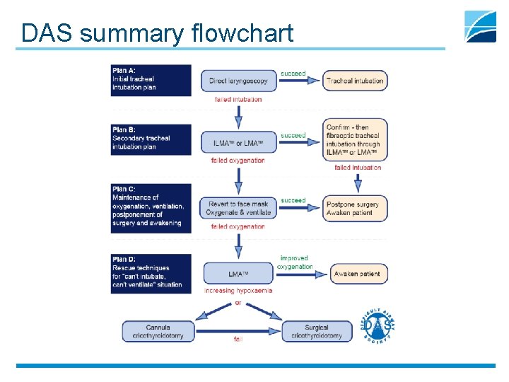 DAS summary flowchart 