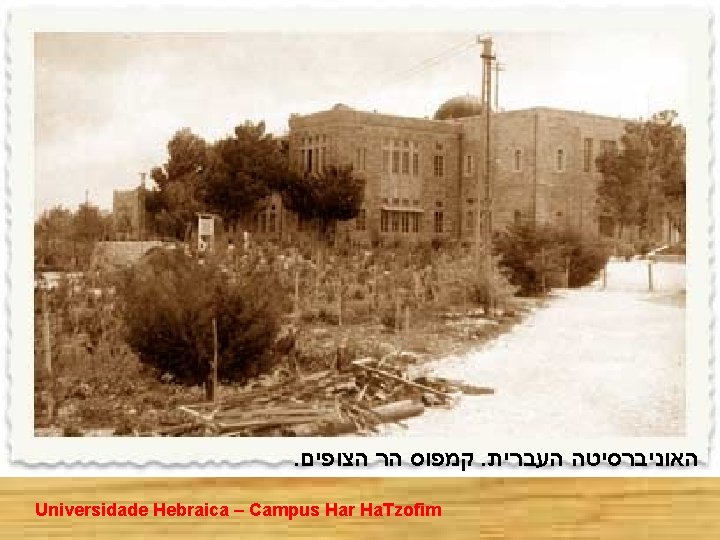 . הצופים הר קמפוס . העברית האוניברסיטה Universidade Hebraica – Campus Har Ha. Tzofim