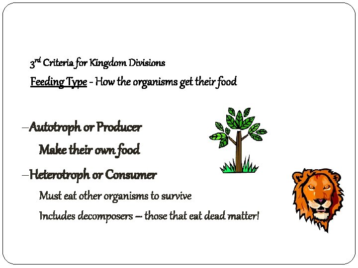 3 rd Criteria for Kingdom Divisions Feeding Type - How the organisms get their
