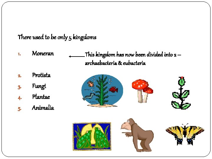 There used to be only 5 kingdoms 1. Moneran 2. Protista Fungi Plantae Animalia