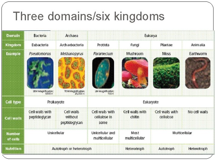Three domains/six kingdoms 