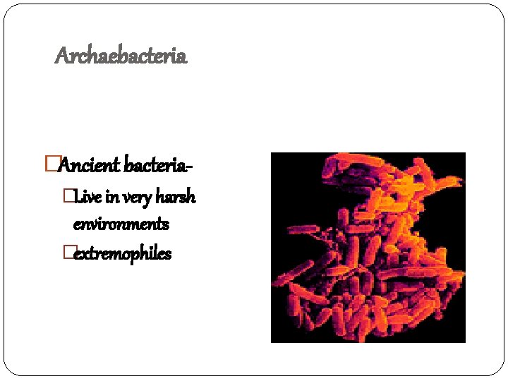 Archaebacteria �Ancient bacteria�Live in very harsh environments �extremophiles 