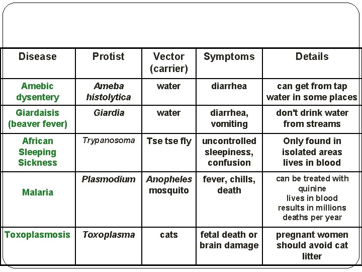 Disease Protist Vector (carrier) Symptoms Details Amebic dysentery Ameba histolytica water diarrhea can get