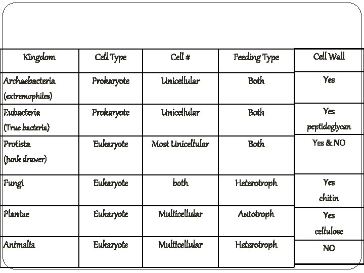 Kingdom Cell Type Cell # Feeding Type Cell Wall Archaebacteria Prokaryote Unicellular Both Yes