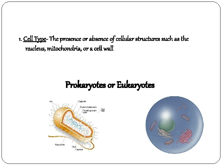 1. Cell Type- The presence or absence of cellular structures such as the nucleus,