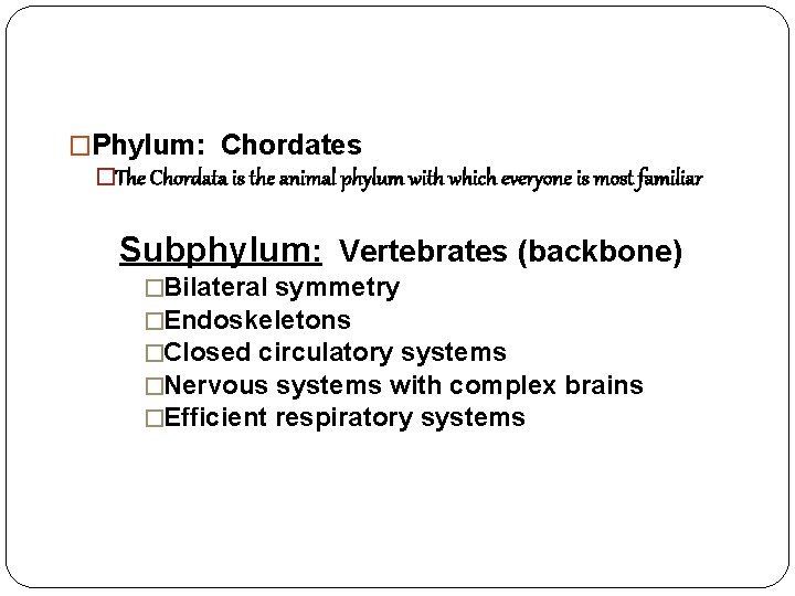 �Phylum: Chordates �The Chordata is the animal phylum with which everyone is most familiar