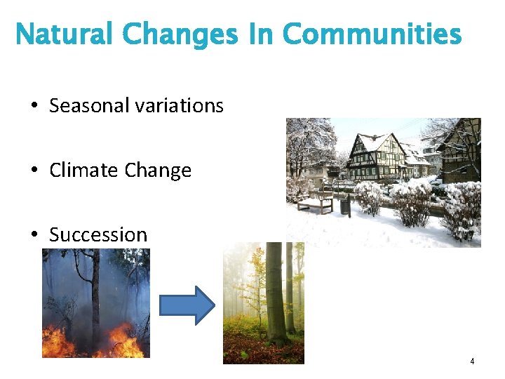 Natural Changes In Communities • Seasonal variations • Climate Change • Succession 4 