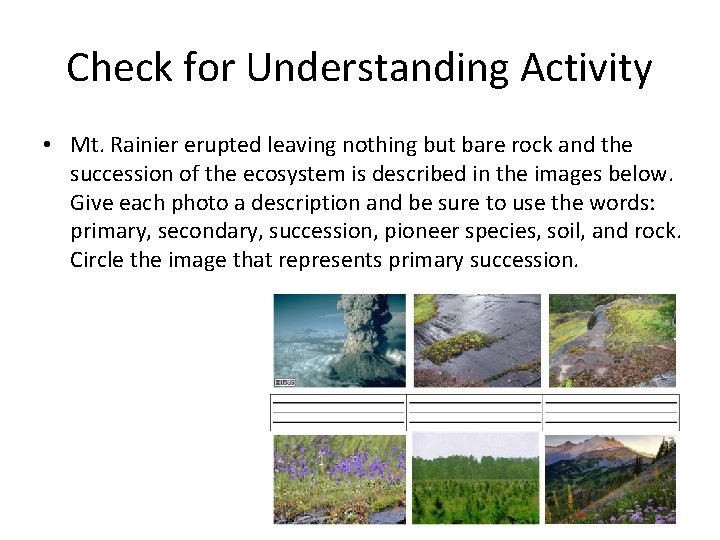 Check for Understanding Activity • Mt. Rainier erupted leaving nothing but bare rock and