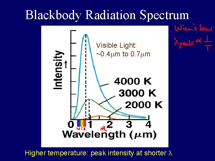 Blackbody Radiation Spectrum Visible Light: ~0. 4 mm to 0. 7 mm Higher temperature: