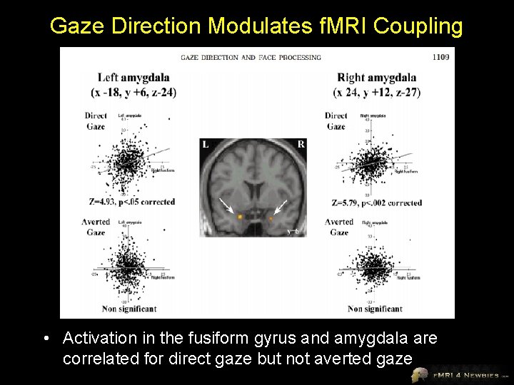 Gaze Direction Modulates f. MRI Coupling • Activation in the fusiform gyrus and amygdala