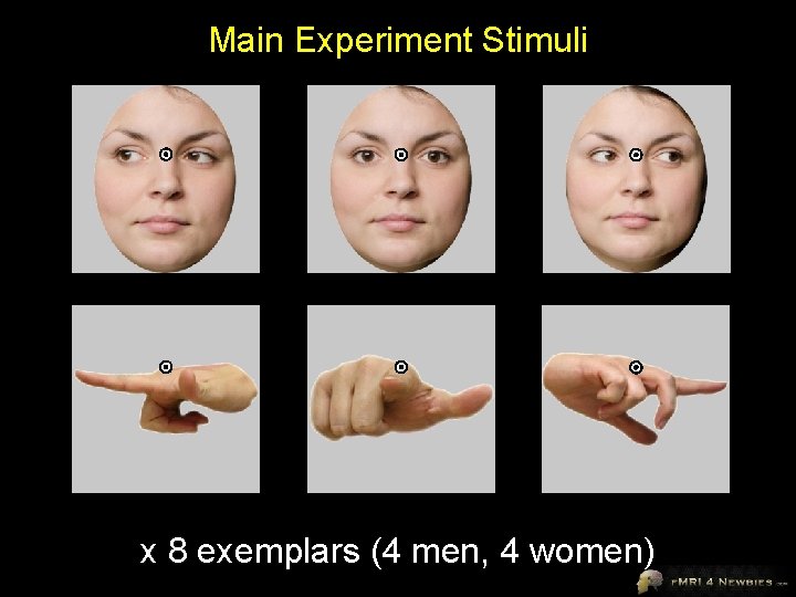 Main Experiment Stimuli x 8 exemplars (4 men, 4 women) 