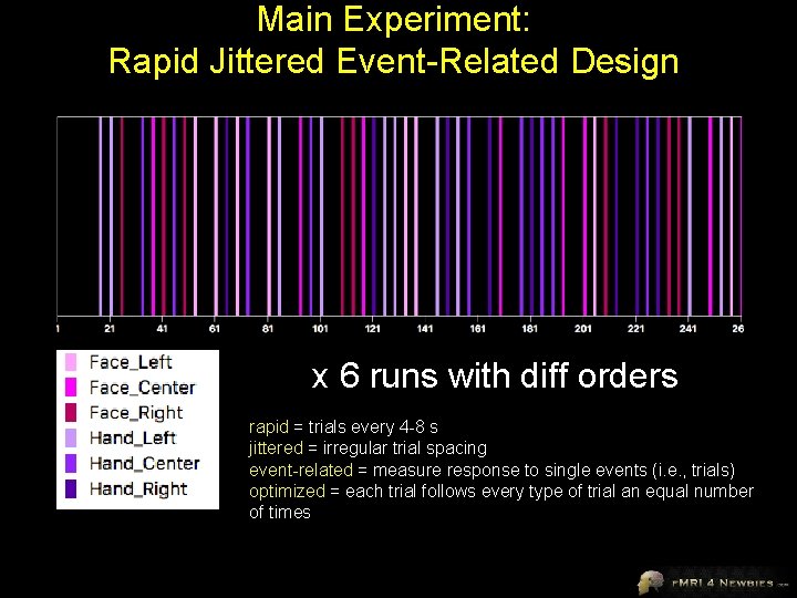 Main Experiment: Rapid Jittered Event-Related Design x 6 runs with diff orders rapid =