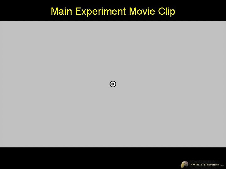 Main Experiment Movie Clip 