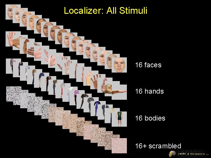Localizer: All Stimuli 16 faces 16 hands 16 bodies 16+ scrambled 