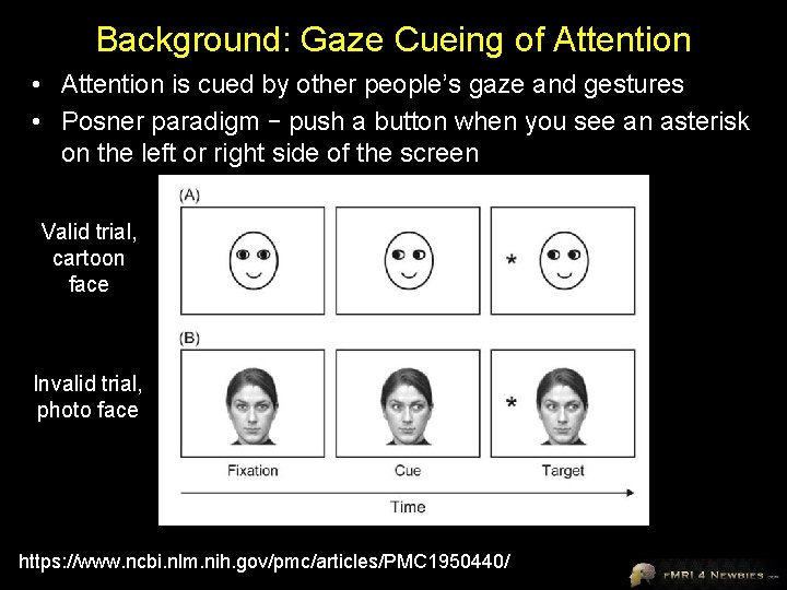 Background: Gaze Cueing of Attention • Attention is cued by other people’s gaze and