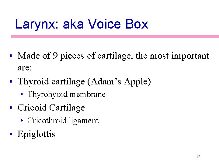 Larynx: aka Voice Box • Made of 9 pieces of cartilage, the most important