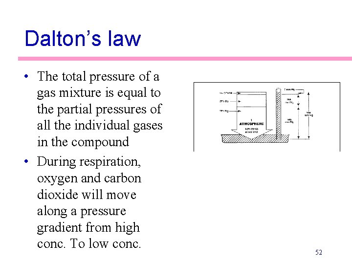 Dalton’s law • The total pressure of a gas mixture is equal to the