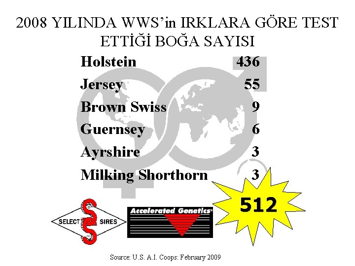 2008 YILINDA WWS’in IRKLARA GÖRE TEST ETTİĞİ BOĞA SAYISI Holstein 436 Jersey 55 Brown