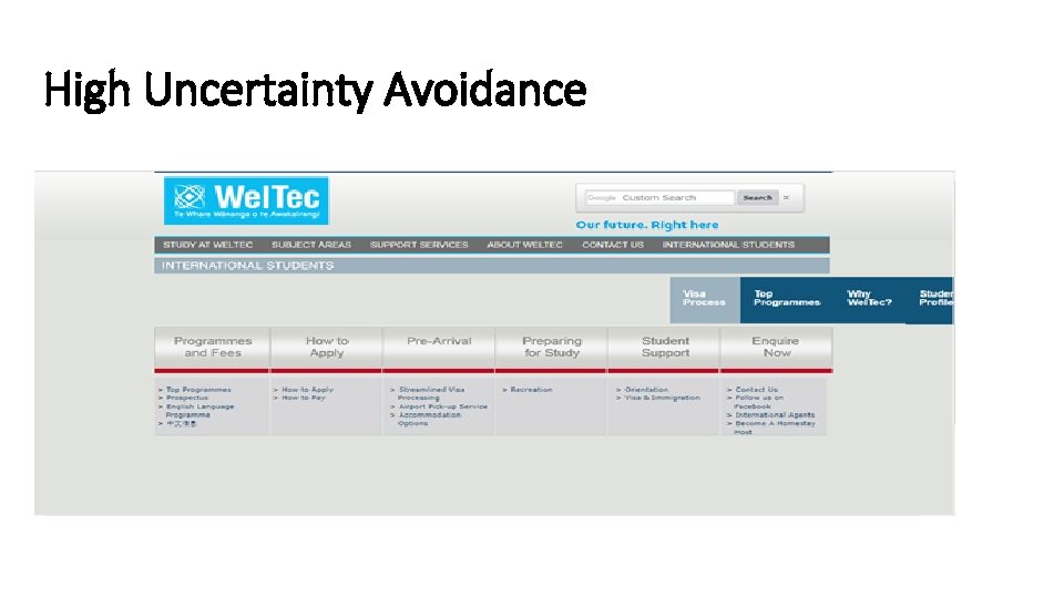 High Uncertainty Avoidance 