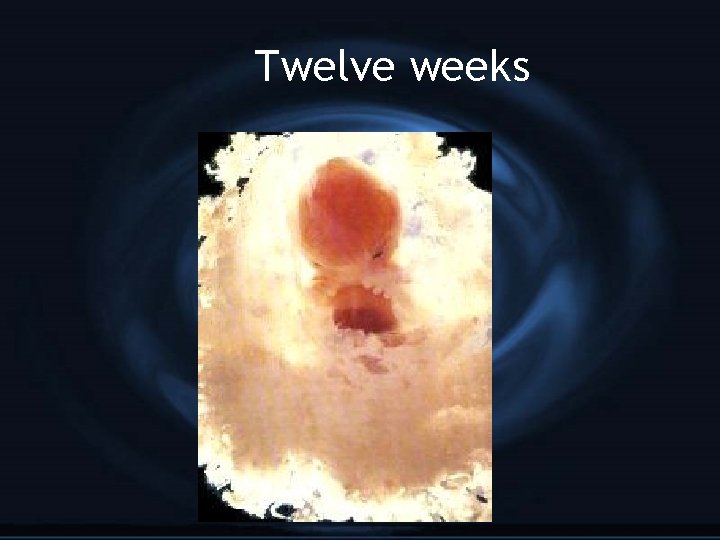 Twelve weeks 
