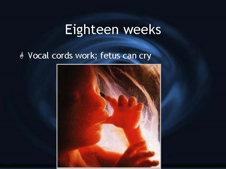 Eighteen weeks G Vocal cords work; fetus can cry 